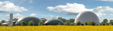 Biogas Kraftwerk vor einem Rapsfeld